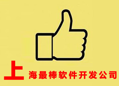 上海顶尖软件开发公司 聚焦网络与信息安全领域的卓越力量